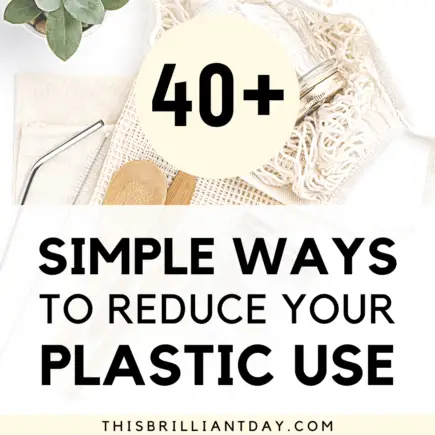 40+ Simple Ways To Reduce Your Plastic Use