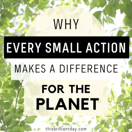 Why Every Small Action Makes A Difference For The Planet