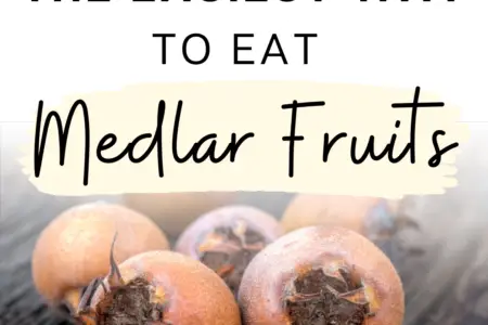The Easiest Way To Eat Medlar Fruits