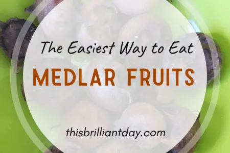 The Easiest Way to Eat Medlar Fruits