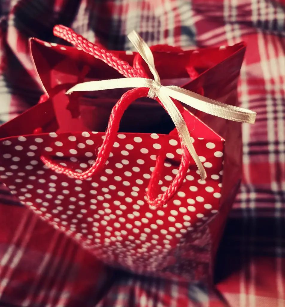 A red gift bag with the handles tied by a gold ribbon in a bow.