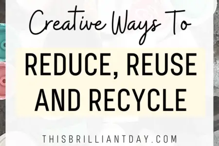 Creative Ways To Reduce, Reuse and Recycle