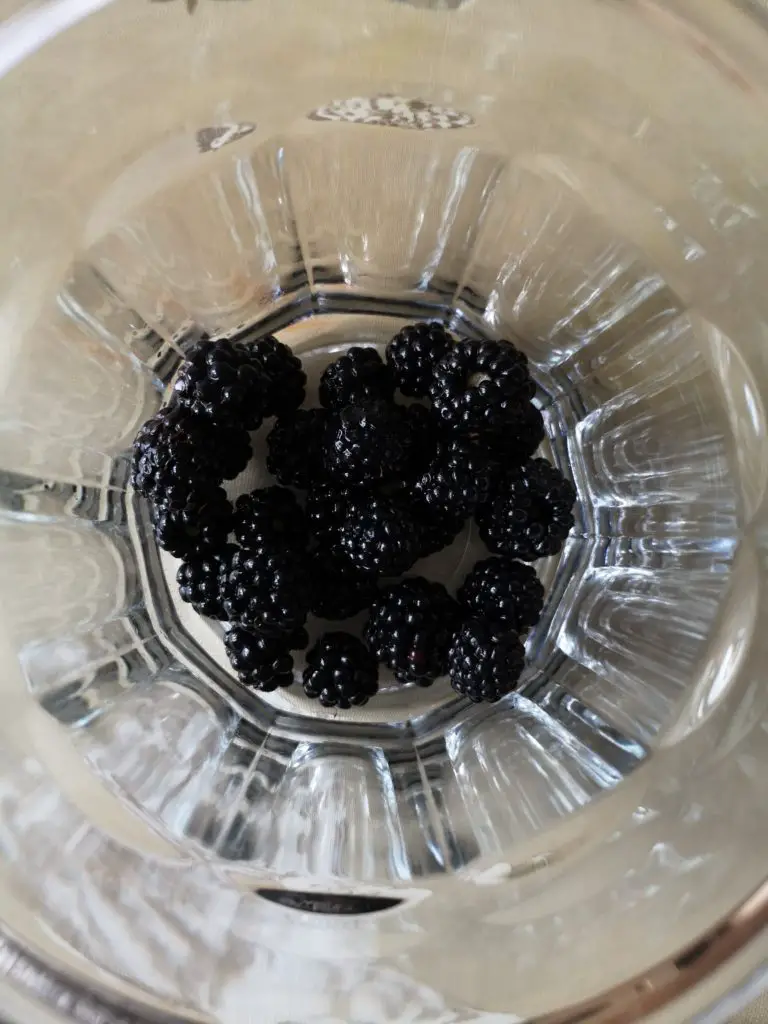 A glass jar containing around 30 blackberries