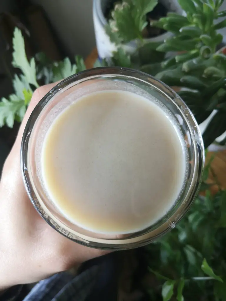 A view of the vanilla protein shake from above.