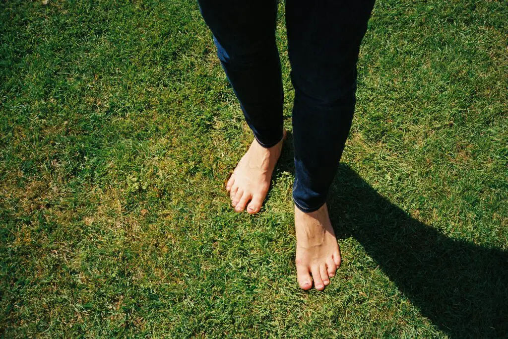 A pair of legs wearing jeans with bare feet on the grass outdoors