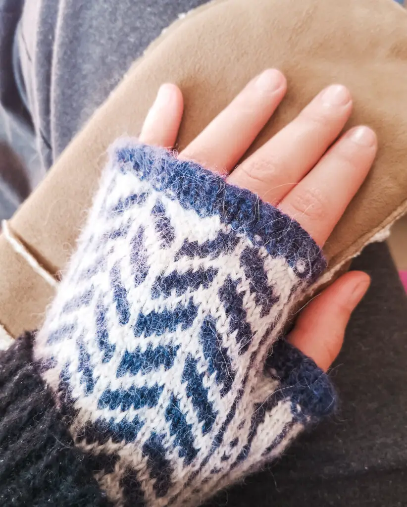 My hand, wearing a blue and white fingerless glove, and resting on a brown mitten.