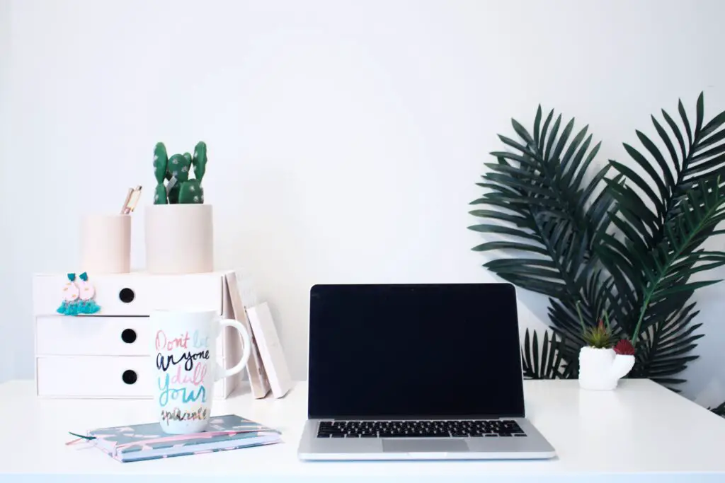 A tidy desk with an open Mac laptop, a mug, a notebook, some mini drawers, stationery and plants.