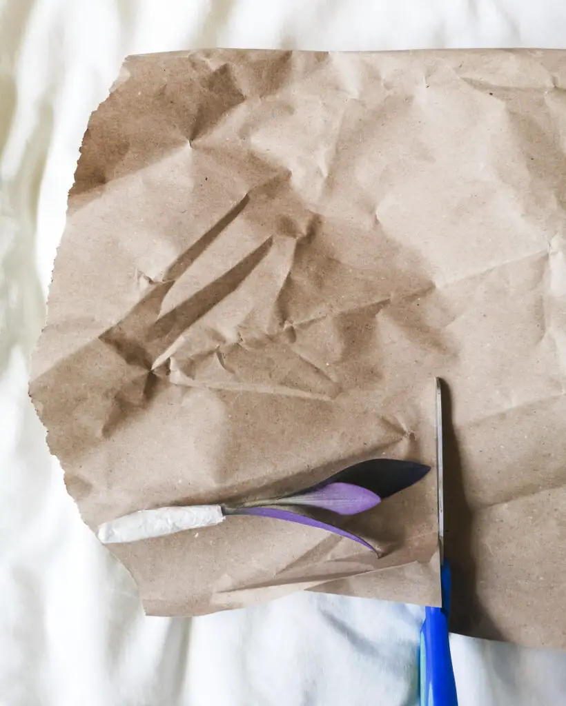 A Tradescantia Pallida cutting laid on a piece of brown paper, which is being cut to size with scissors.