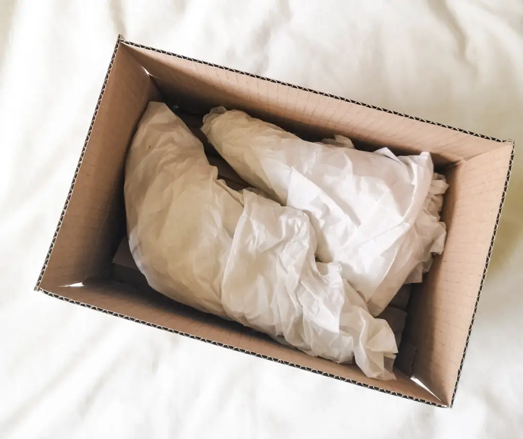 Two houseplant cuttings wrapped in white tissue paper, laid on top of the rolls of brown paper in a cardboard box.