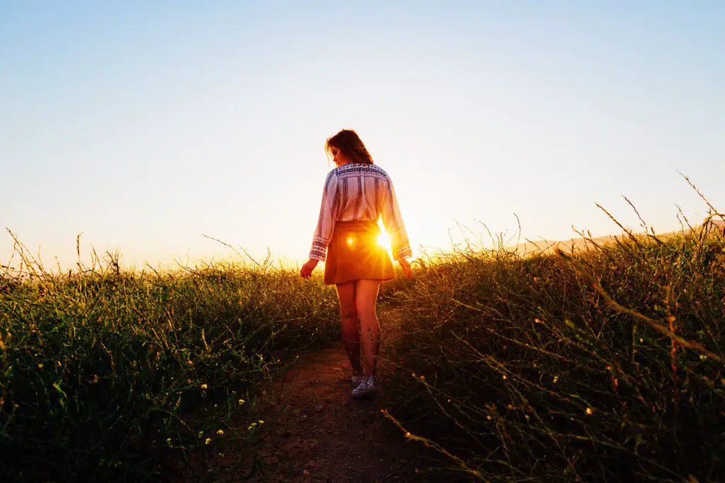 A woman walking along a path through a field, at sunset. She is looking at the surrounding plants.