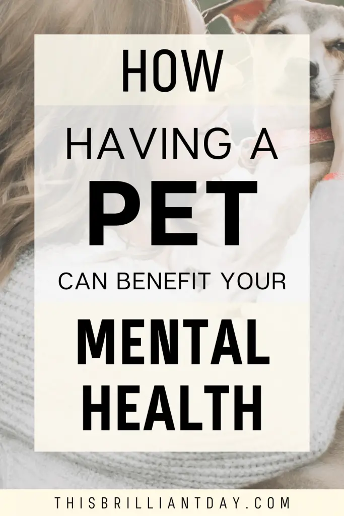 How Having A Pet Can Benefit Your Mental Health