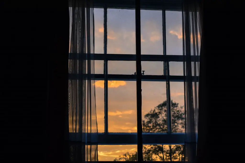 A sunrise viewed through a window. The sky is shades of orange and there is a tree silhouetted in the background.