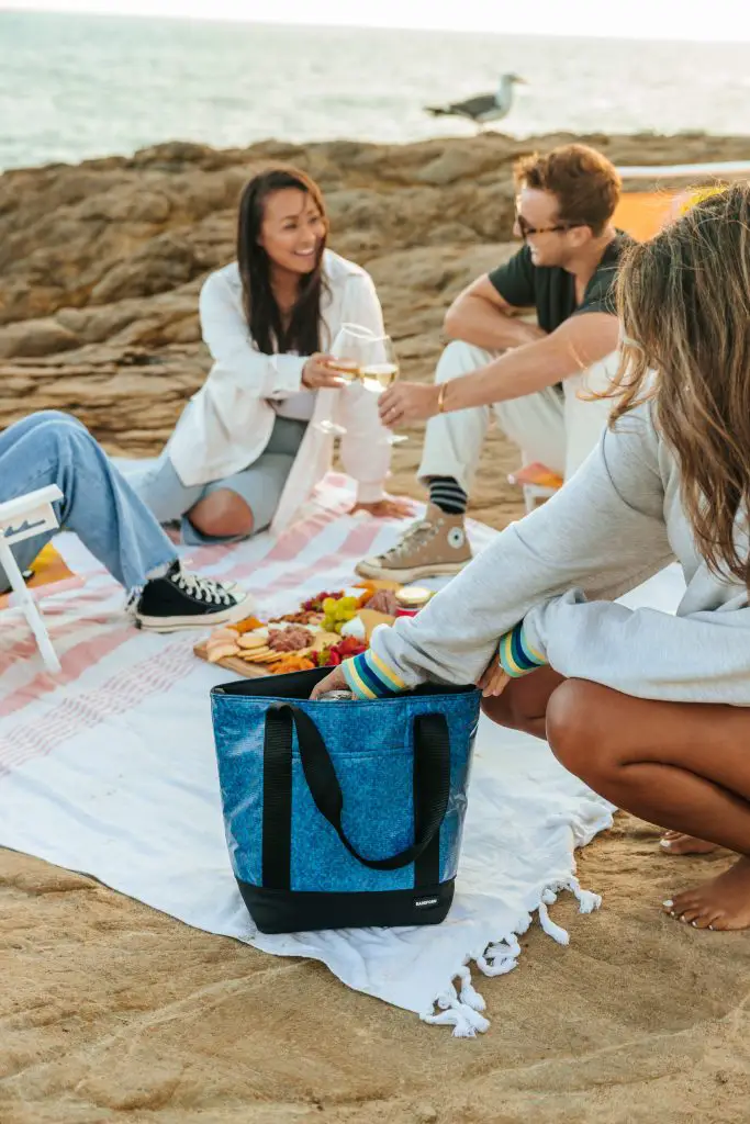 A group of friends having a picnic on the beach.