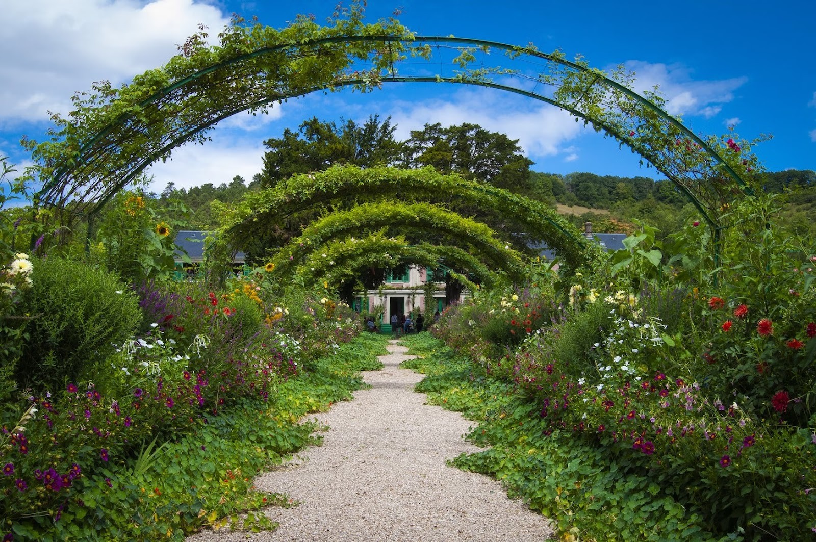 A wide garden path with arches overhead that have plants growing across them. The path is lined with colourful flowering plants.