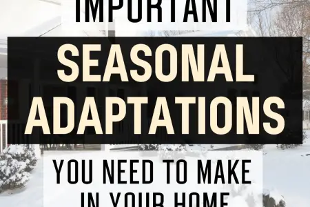 Important Seasonal Adaptations You Need To Make In Your Home