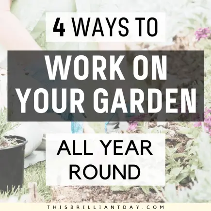 4 Ways To Work On Your Garden All Year Round