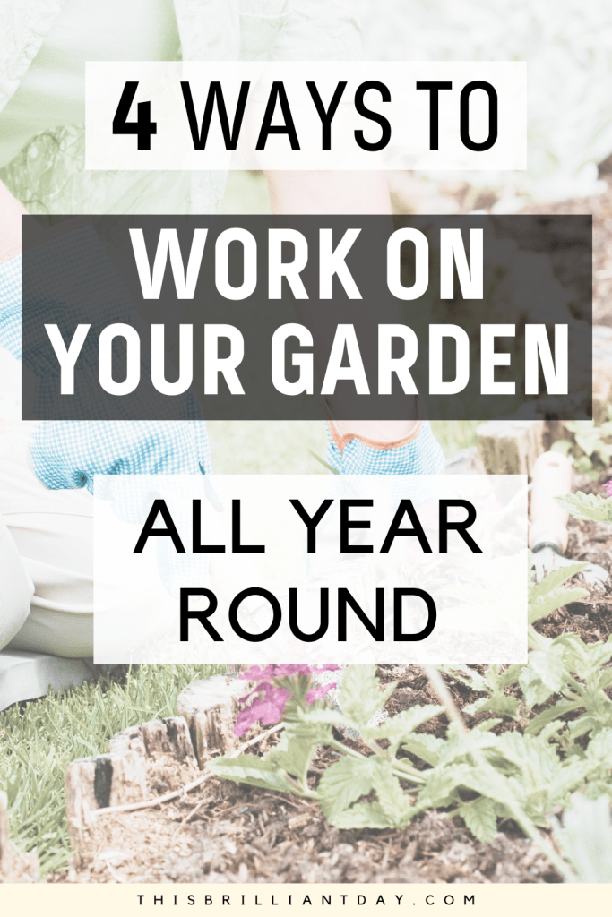 4 Ways To Work On Your Garden All Year Round