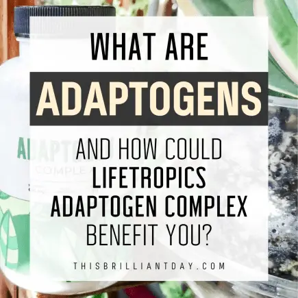 What Are Adaptogens and How Could Lifetropics Adaptogen Complex Benefit You?